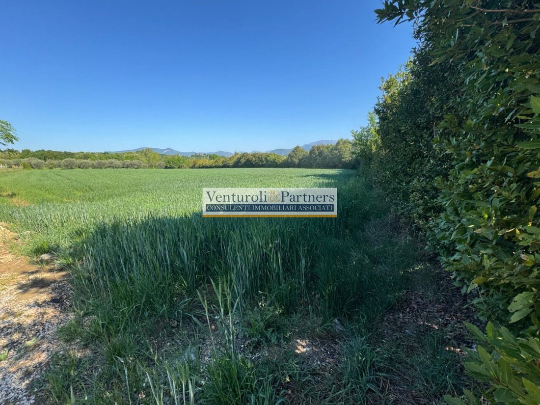 Land in Manerba del Garda, Lombardy, Italy 1 - 17750790