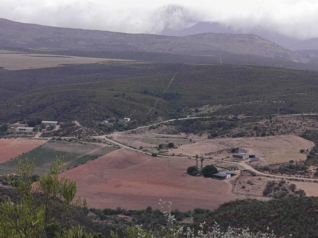 Farm Ranch in Oudtshoorn, Western Cape, South Africa 5 - 17746048