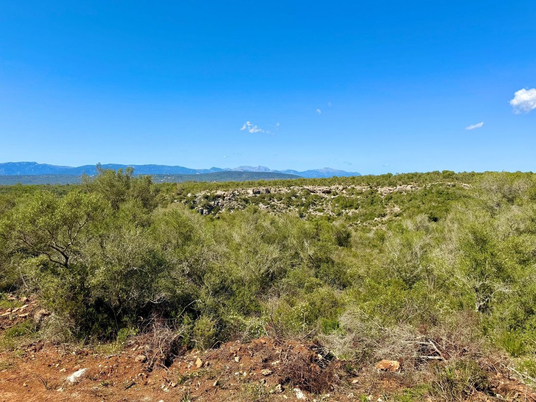 Land in Palma, Balearic Islands, Spain 3 - 17746838