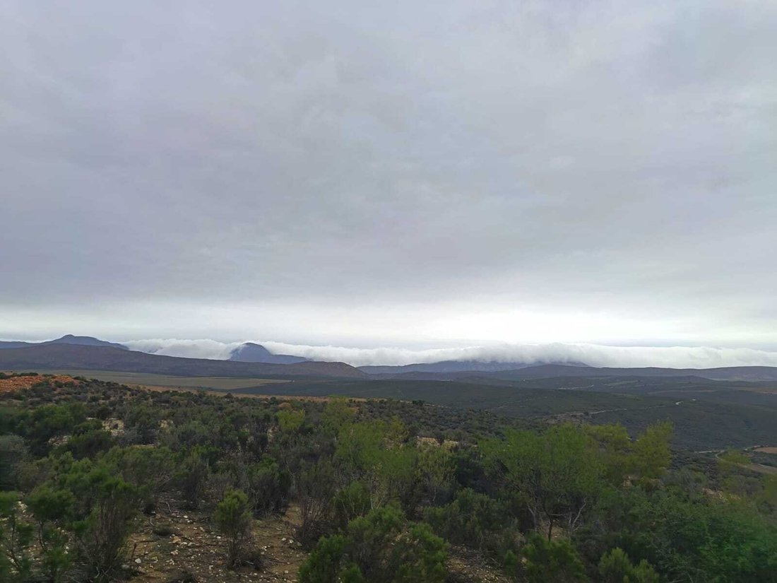 Farm Ranch in Oudtshoorn, Western Cape, South Africa 2 - 17746048