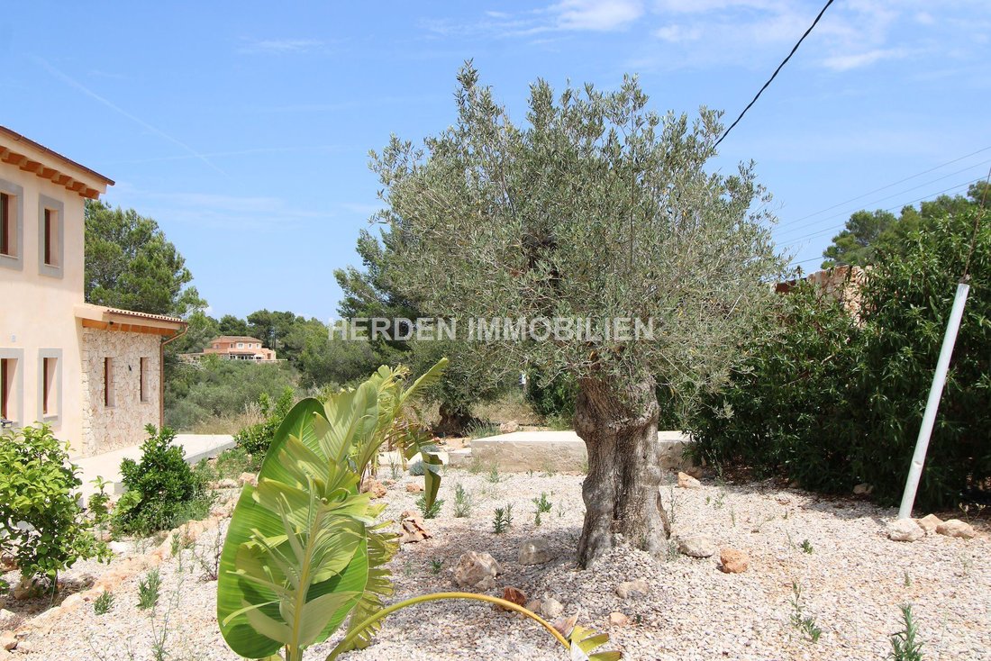 Villa in Palma, Balearic Islands, Spain 4 - 17747902