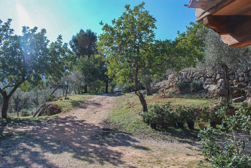 House in Soller, Balearic Islands, Spain 5 - 17747161