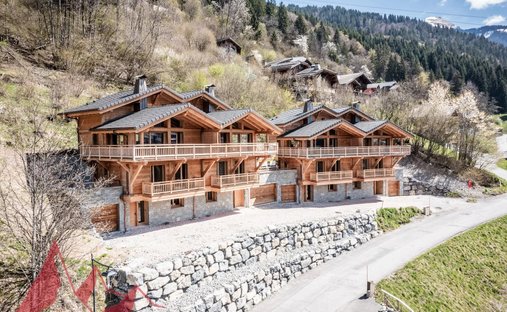 Chalet in Montriond, Auvergne-Rhône-Alpes, France 1