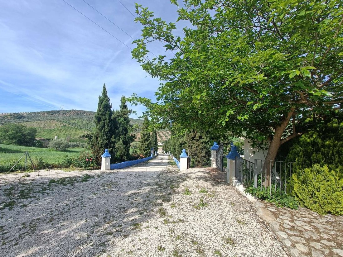 House in Villanueva Mesia, Andalusia, Spain 5 - 17737569