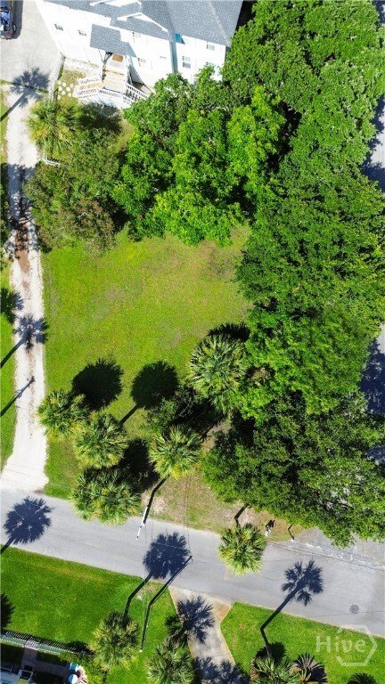 Land in Tybee Island, Georgia, United States 1 - 17749947
