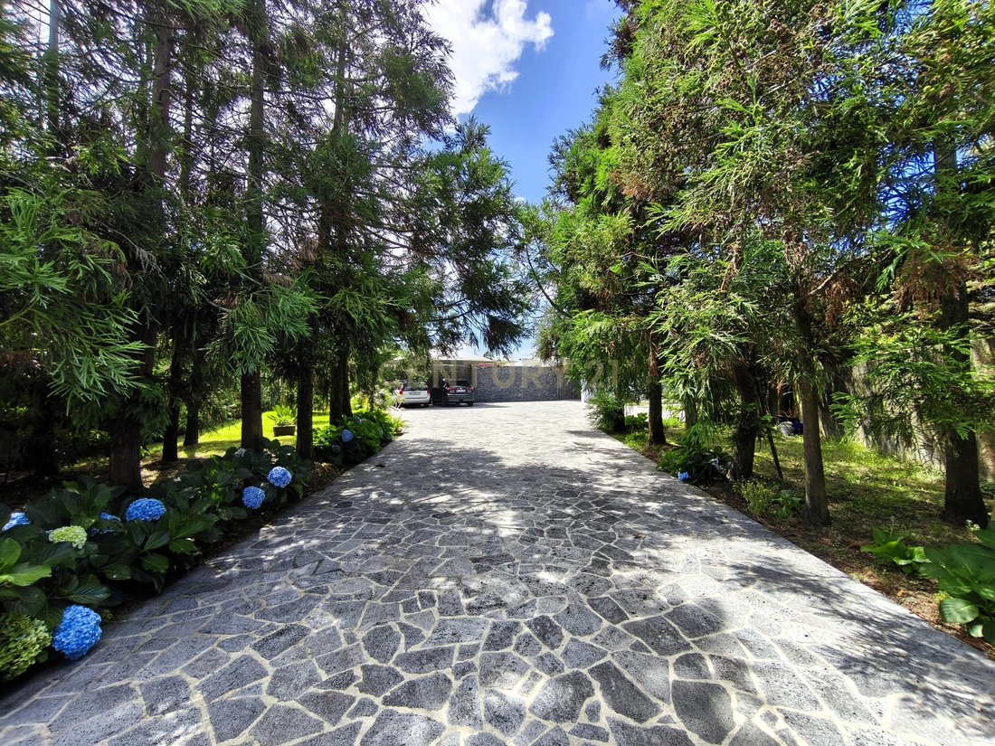 Villa in Rabo de Peixe, Azores, Portugal 4 - 16039945