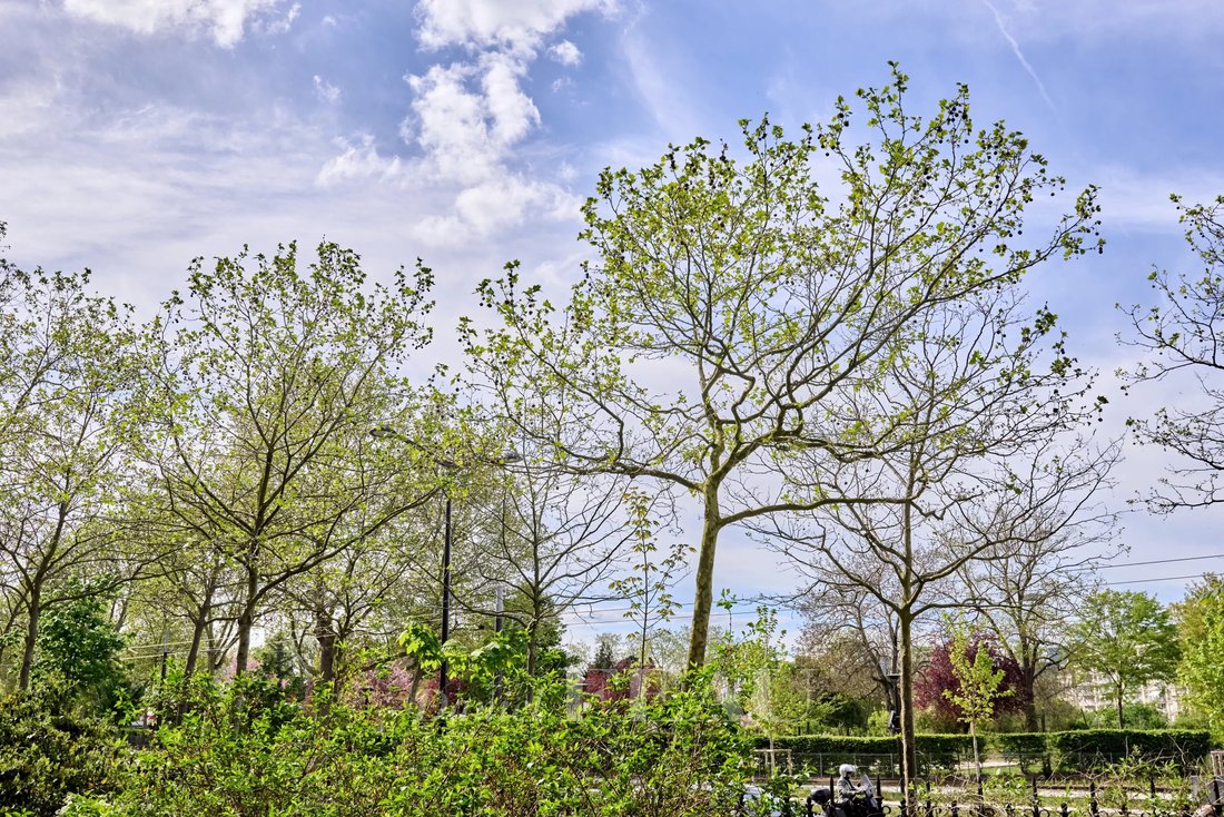 Apartment in Champerret-Berthier, Paris 17e Arrondissement, Paris 2 - 17745230
