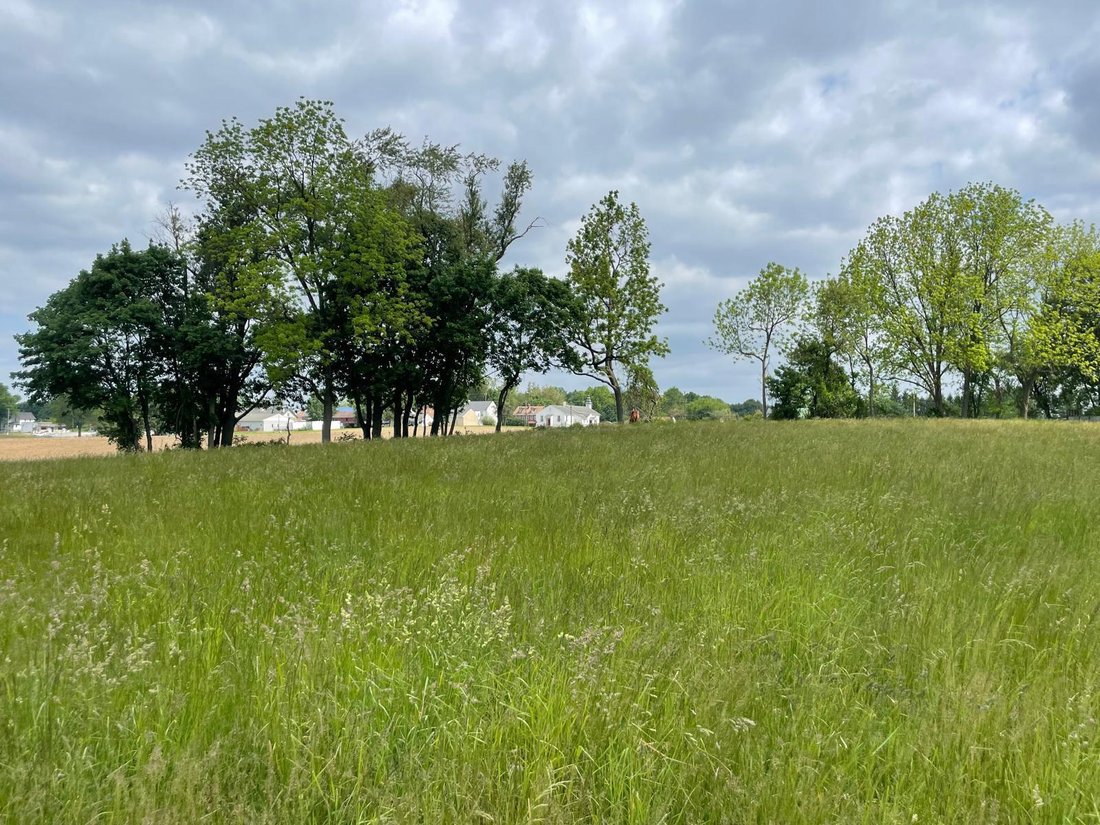 Land in West Grove, Pennsylvania, United States 2 - 17749919
