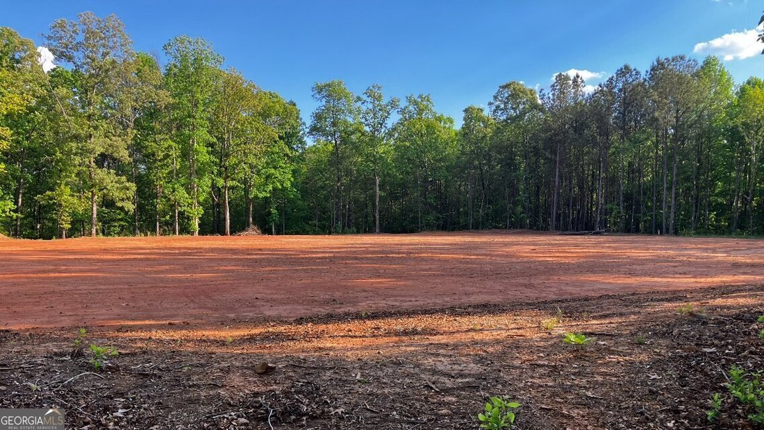 Farm Ranch in Cumming, Georgia, United States 5 - 17736316