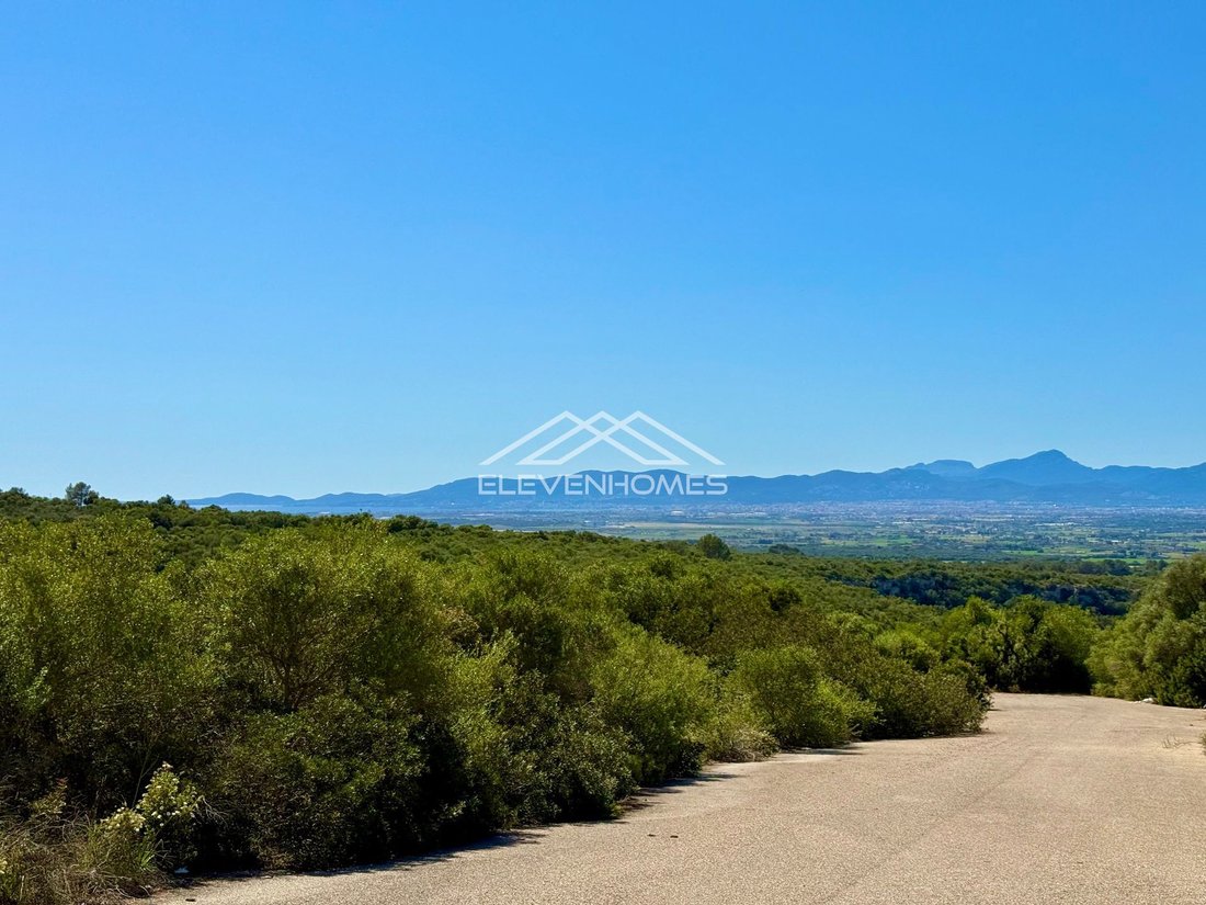 Land in Palma, Balearic Islands, Spain 3 - 17746820