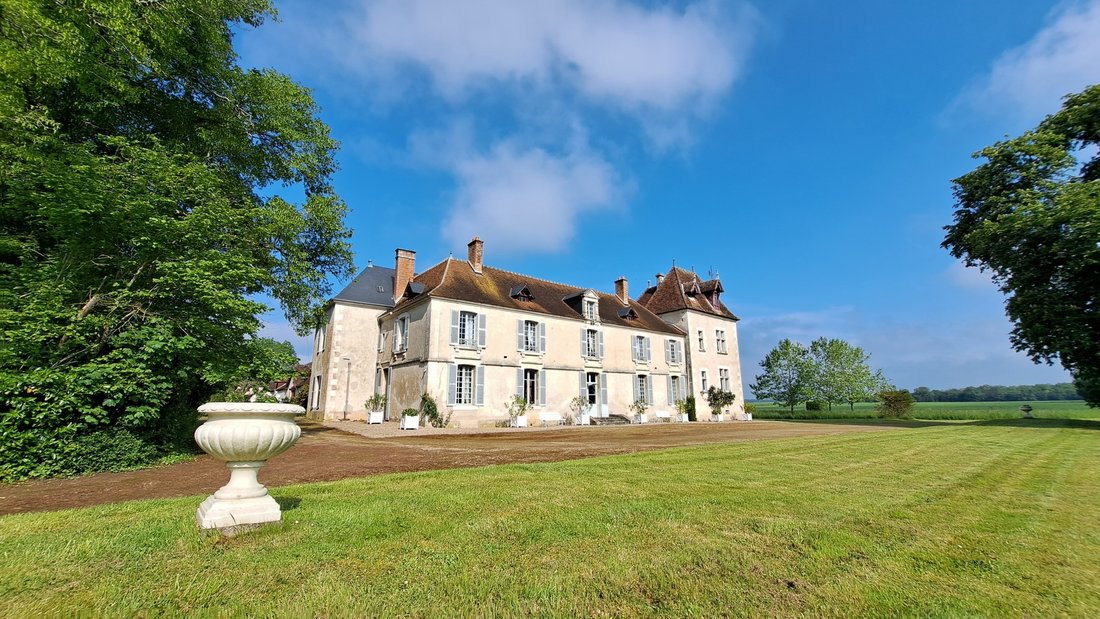Castle in Chateauneuf-sur-Cher, Centre-Val de Loire, France 1 - 17744868