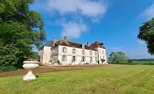 Castle in Chateauneuf-sur-Cher, Centre-Val de Loire, France 1