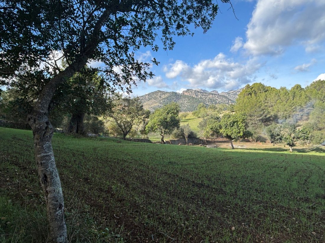 Land in Selva, Balearic Islands, Spain 3 - 17746815