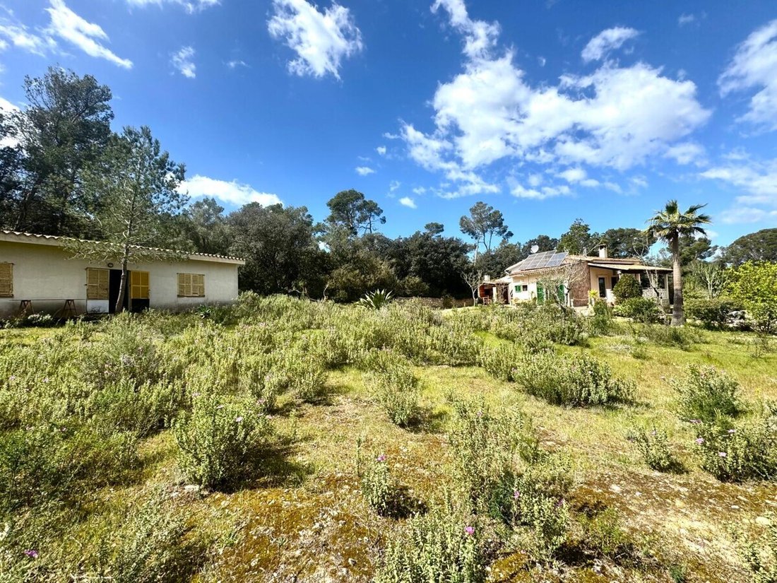 Finca in Sant Joan, Balearic Islands, Spain 3 - 17748124