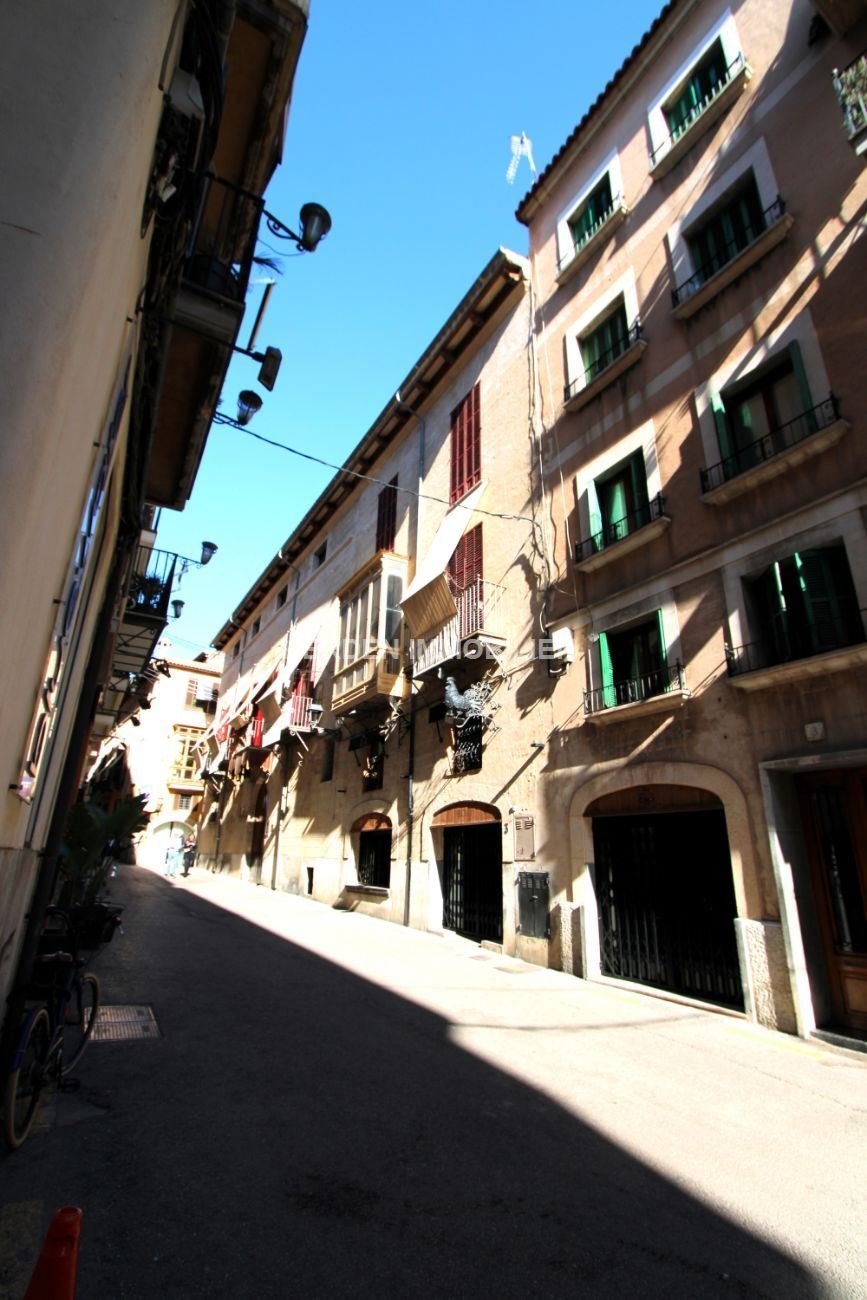 Apartment in Palma, Balearic Islands, Spain 2 - 17749517
