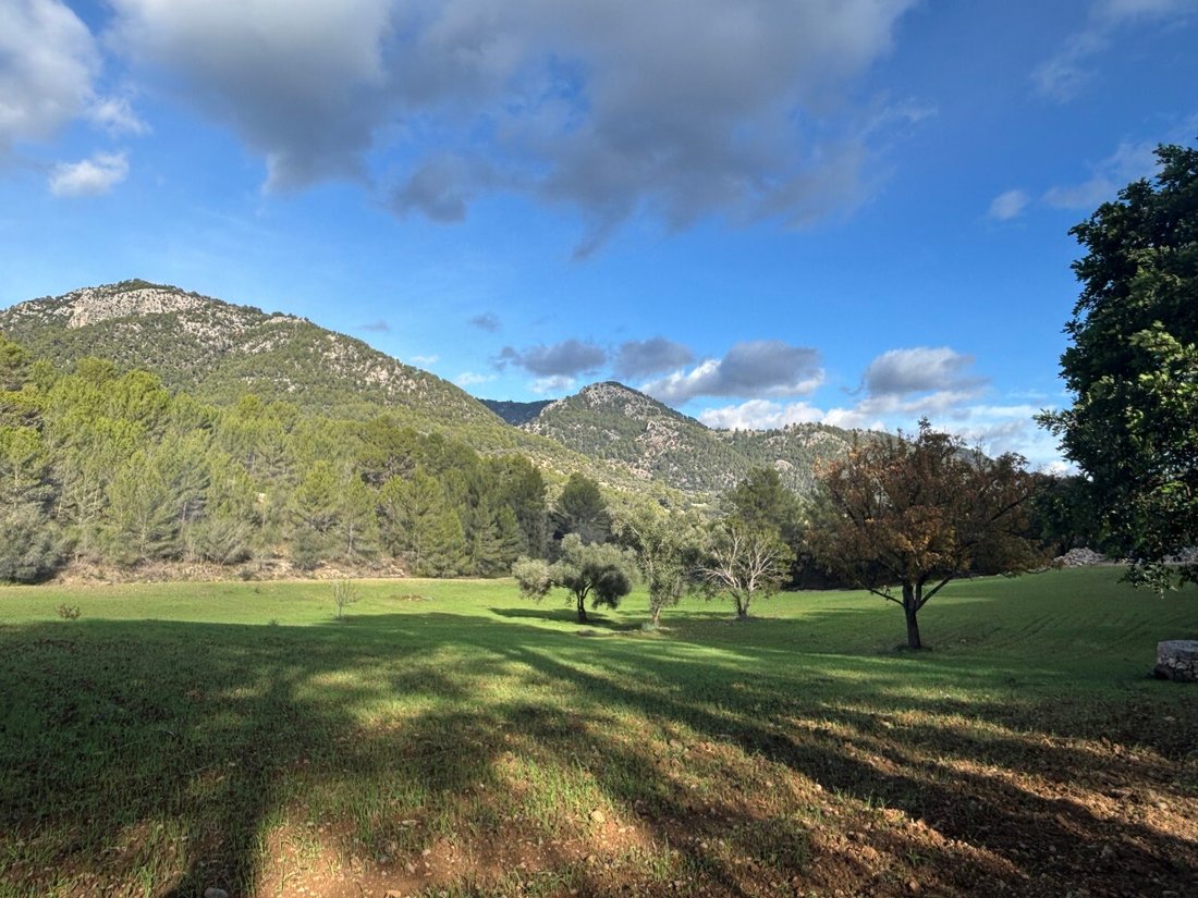 Land in Selva, Balearic Islands, Spain 4 - 17746815