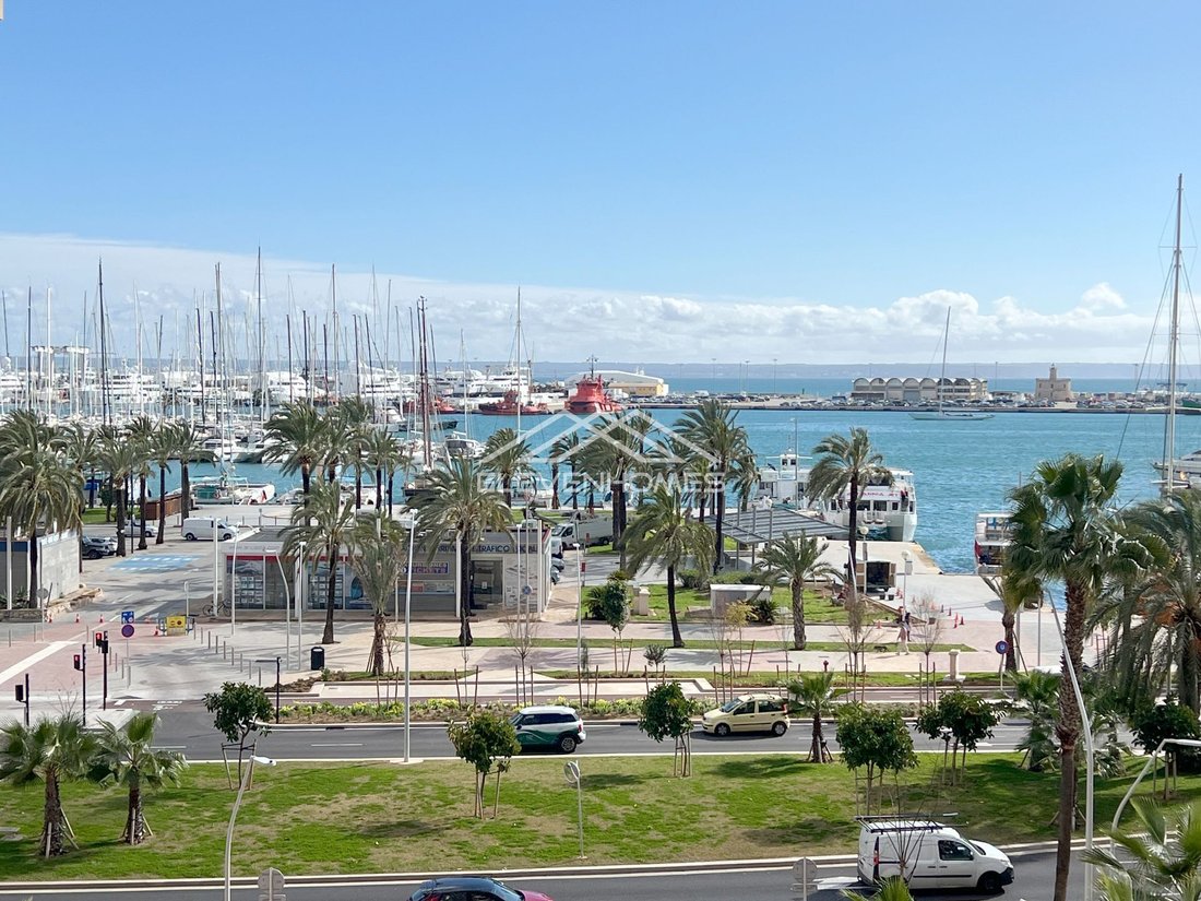 Apartment in Palma, Balearic Islands, Spain 3 - 17748616