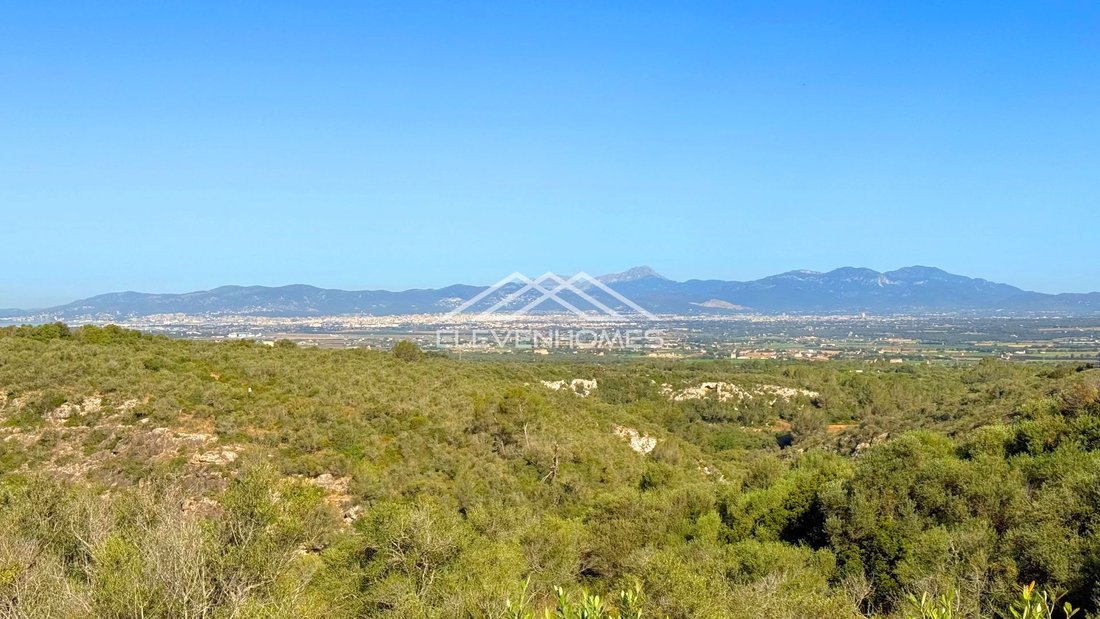 Land in Palma, Balearic Islands, Spain 1 - 17746820