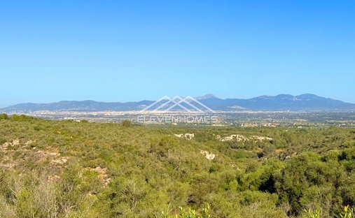 Land in Palma, Balearic Islands, Spain 1