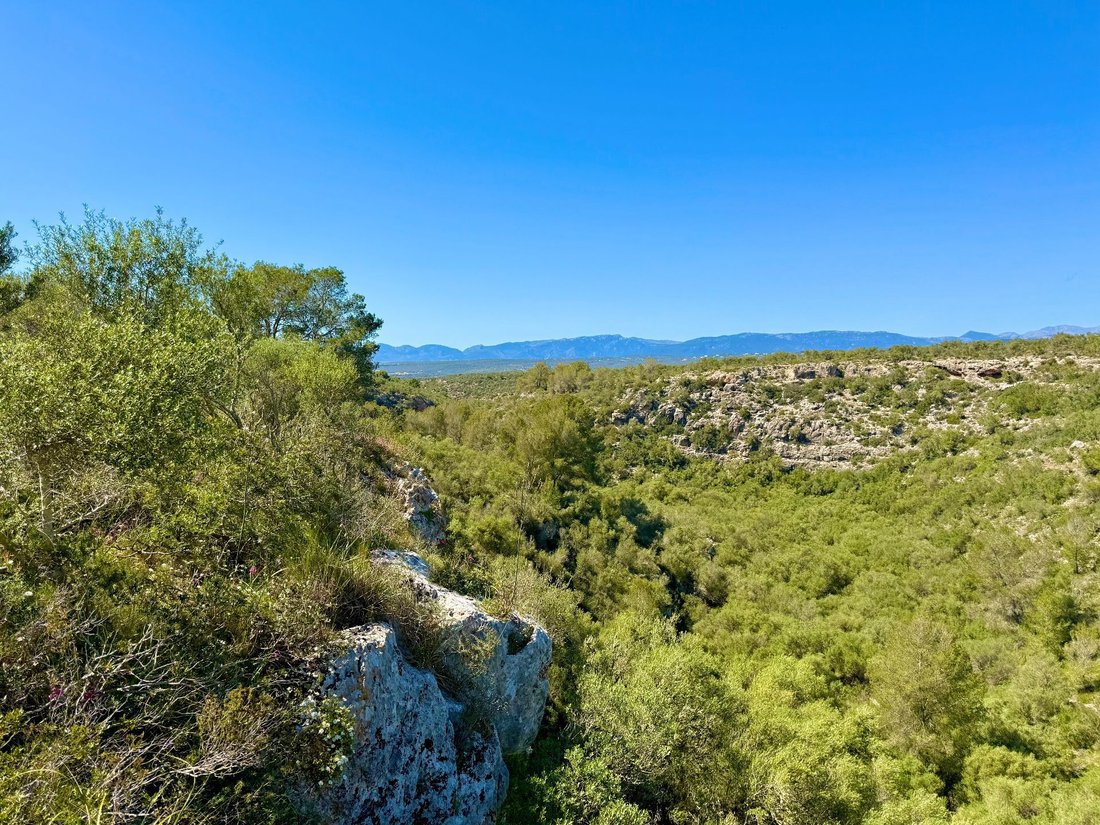 Land in Palma, Balearic Islands, Spain 1 - 17746838