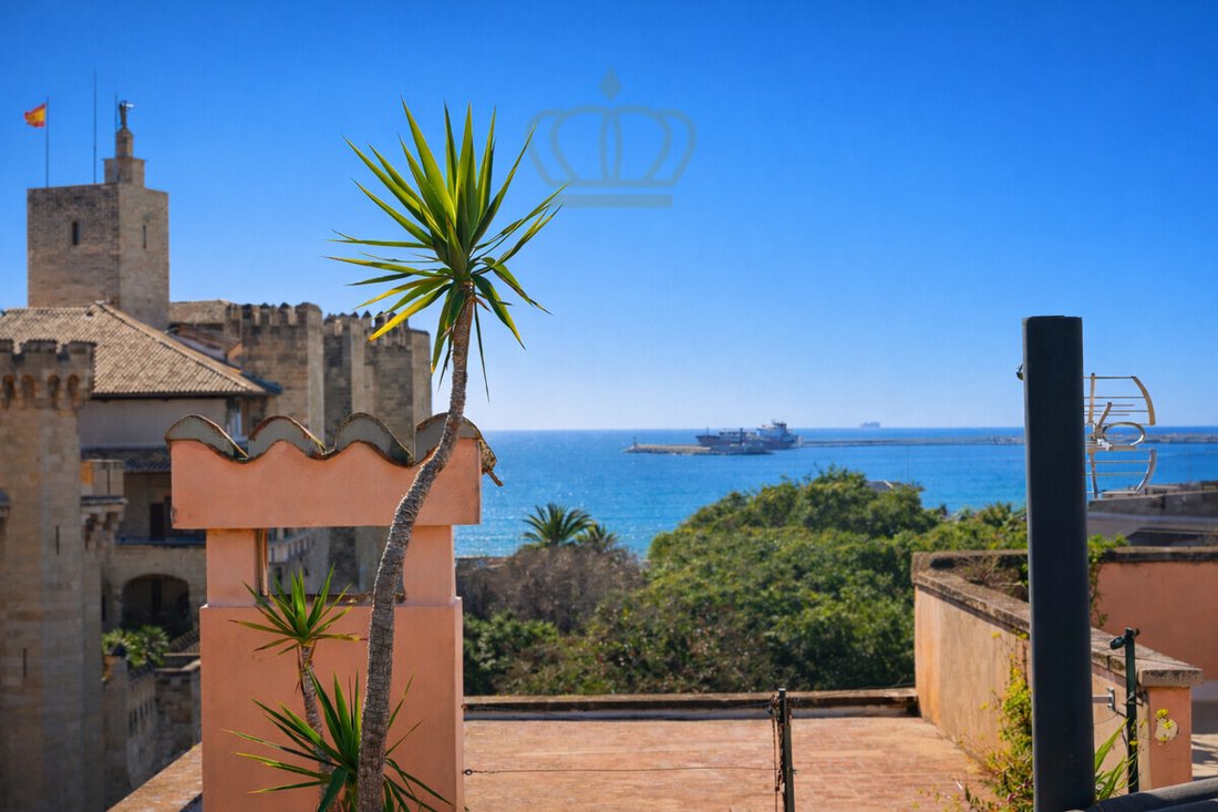 Apartment in Palma, Balearic Islands, Spain 2 - 17750074