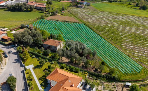 Finca in Geraz do Minho, Braga, Portugal 1