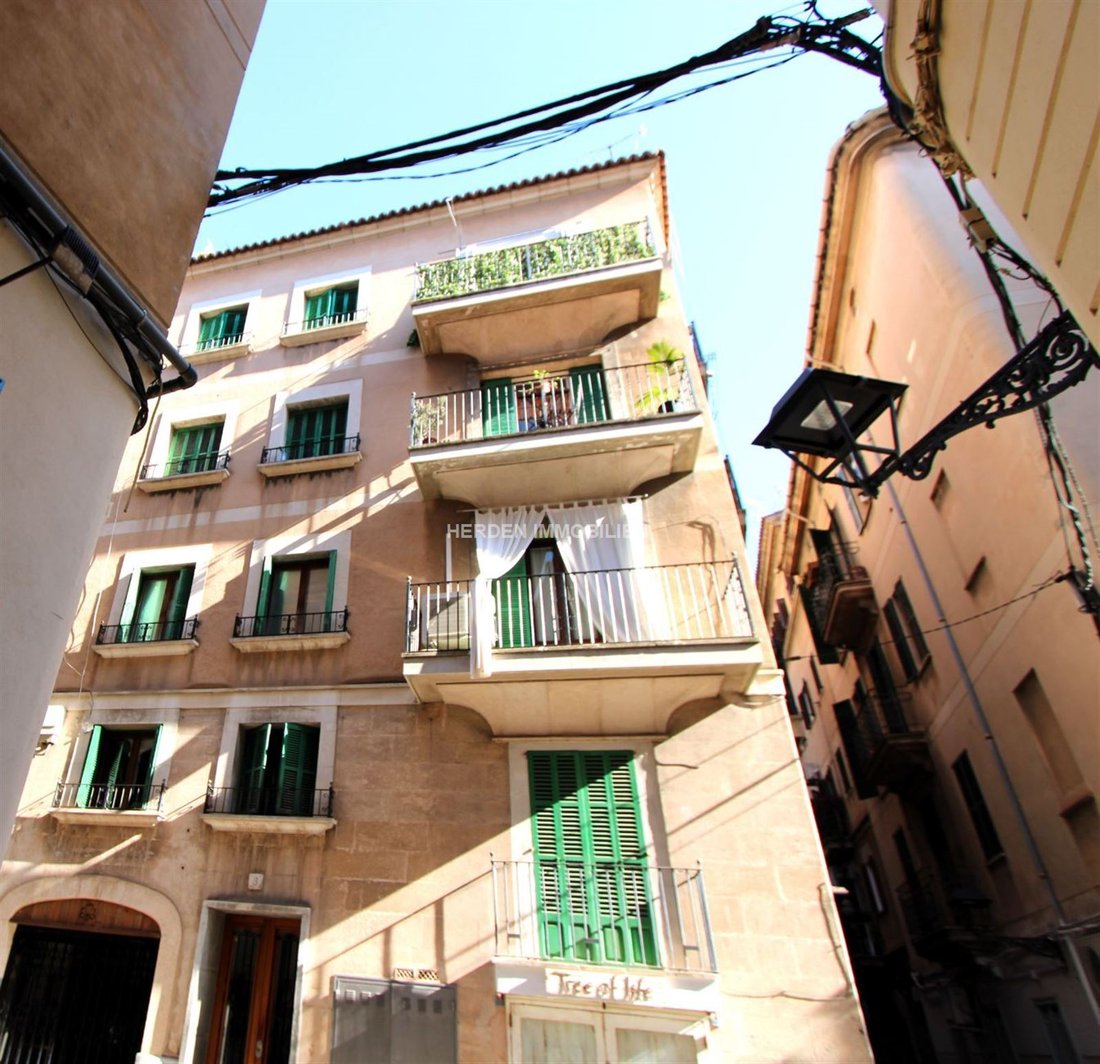 Apartment in Palma, Balearic Islands, Spain 1 - 17749517