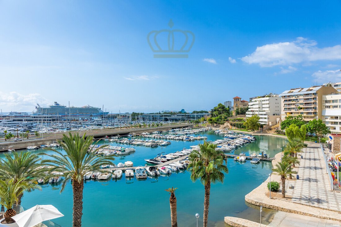 Apartment in Palma, Balearic Islands, Spain 1 - 17750417