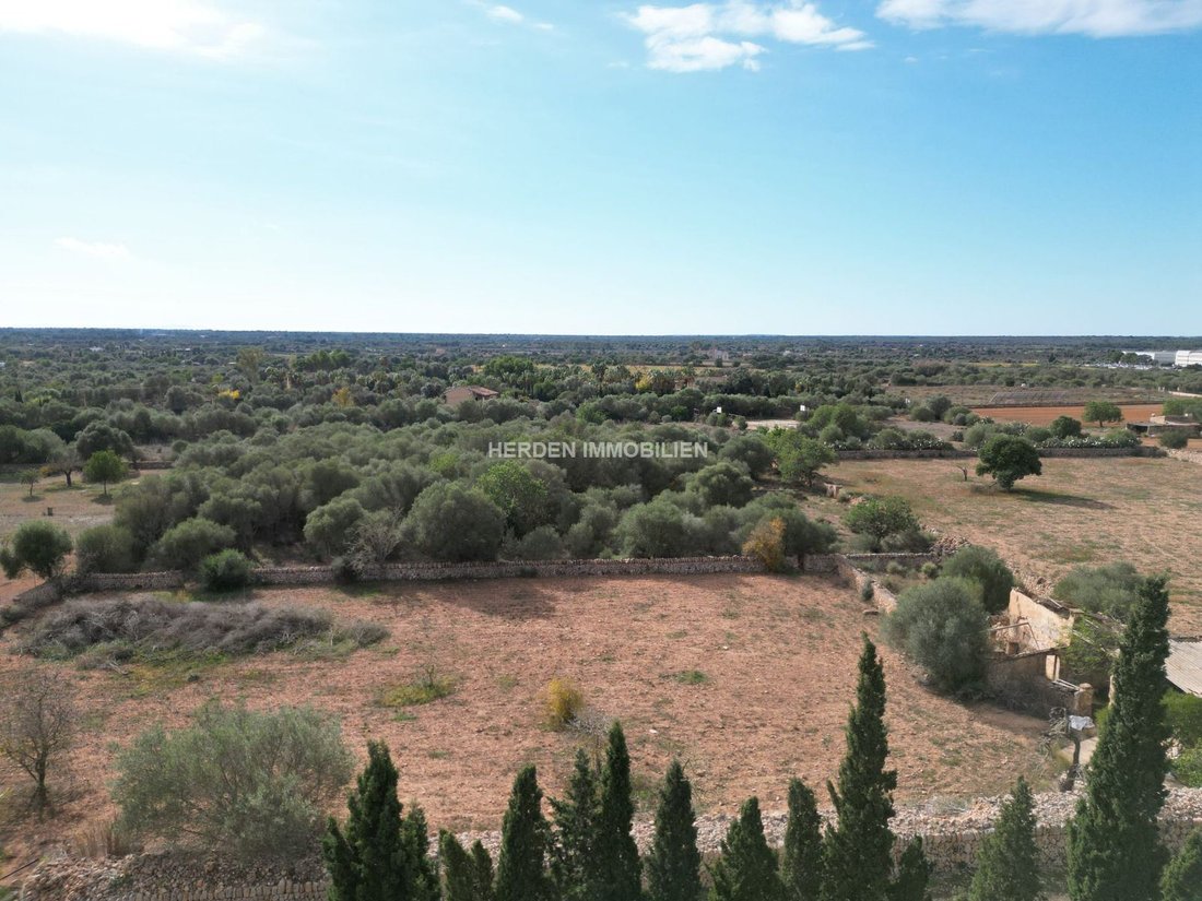 Terreno a Llucmajor, Isole Baleari, Spagna 4 - 17746845