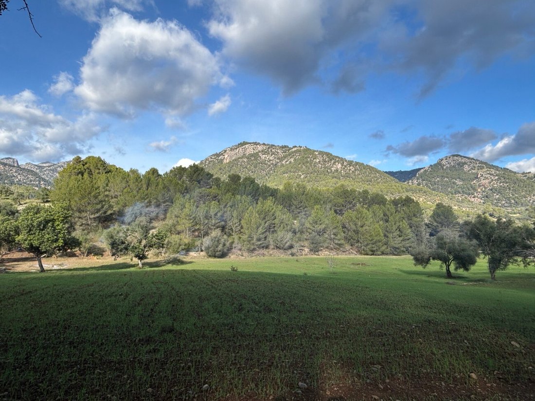 Land in Selva, Balearic Islands, Spain 2 - 17746815