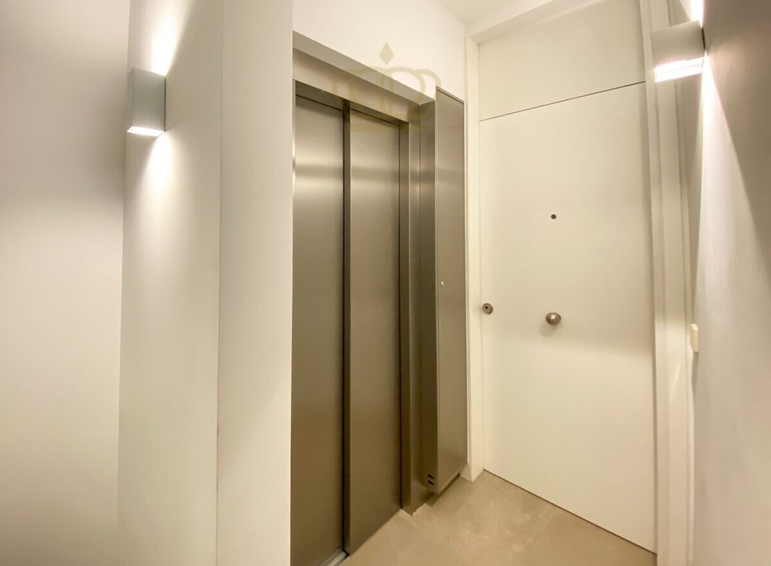 Apartment in Palma, Balearic Islands, Spain 5 - 17750165