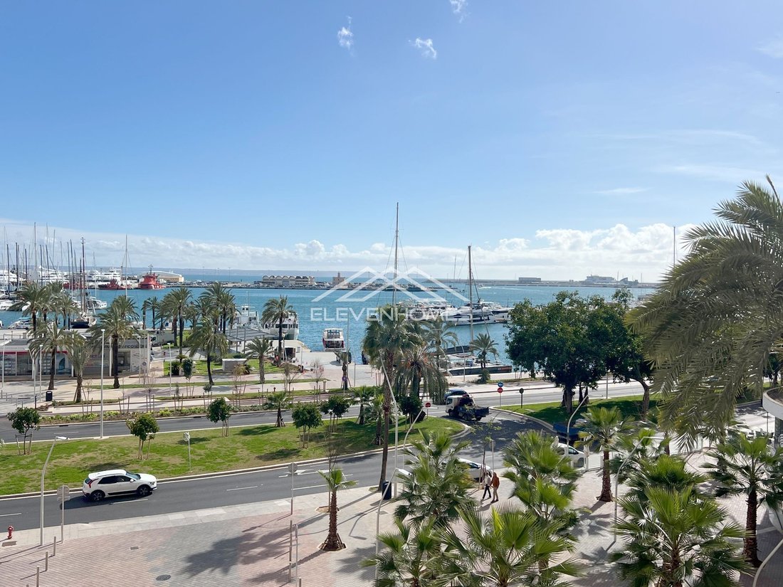 Apartment in Palma, Balearic Islands, Spain 5 - 17748616