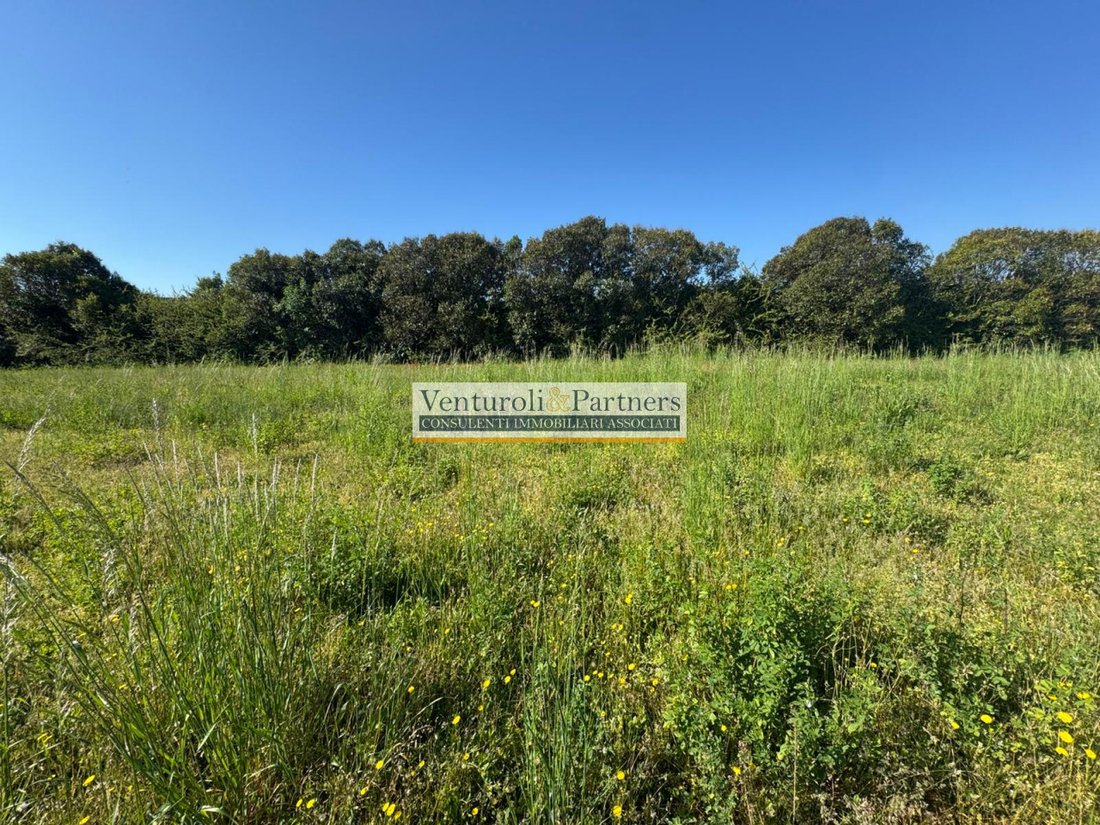 Land in Manerba del Garda, Lombardy, Italy 3 - 17750790