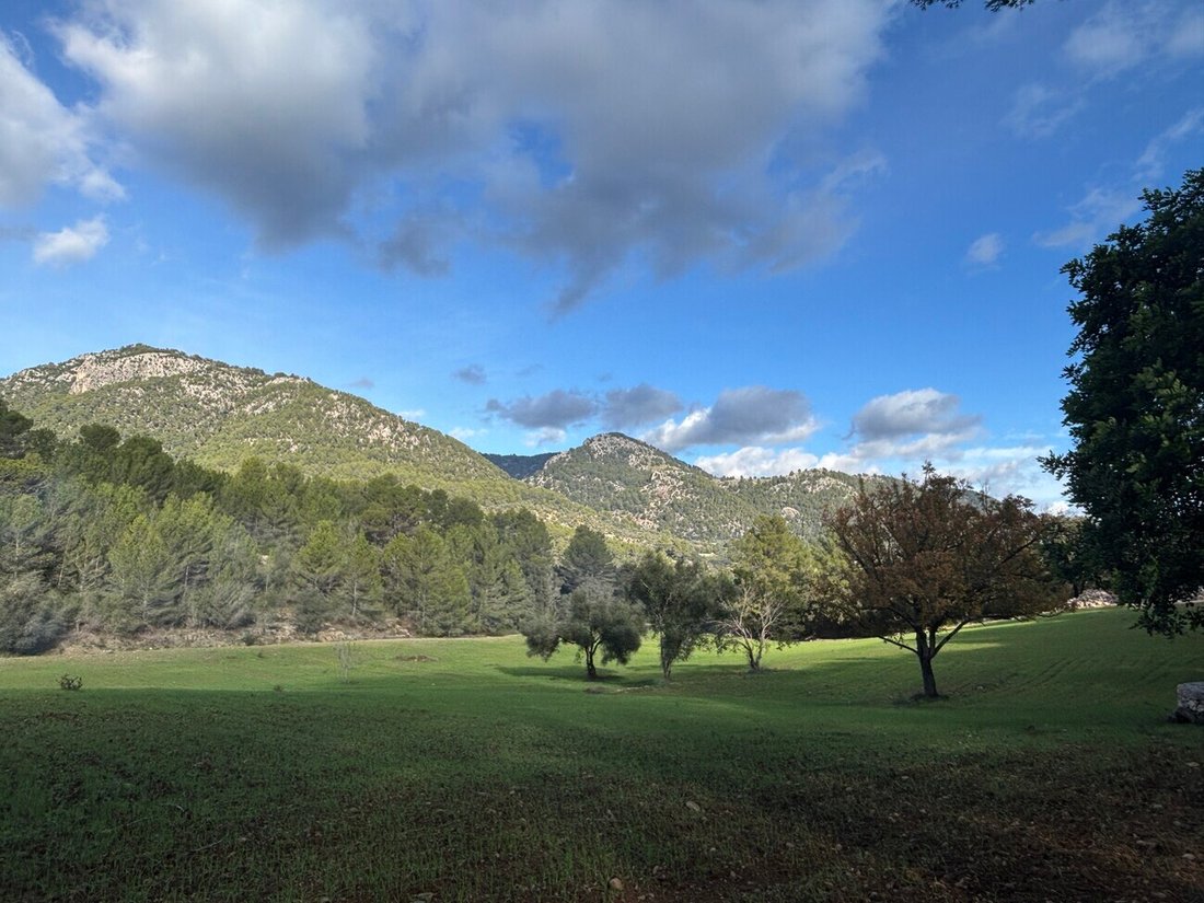 Land in Selva, Balearic Islands, Spain 1 - 17746815