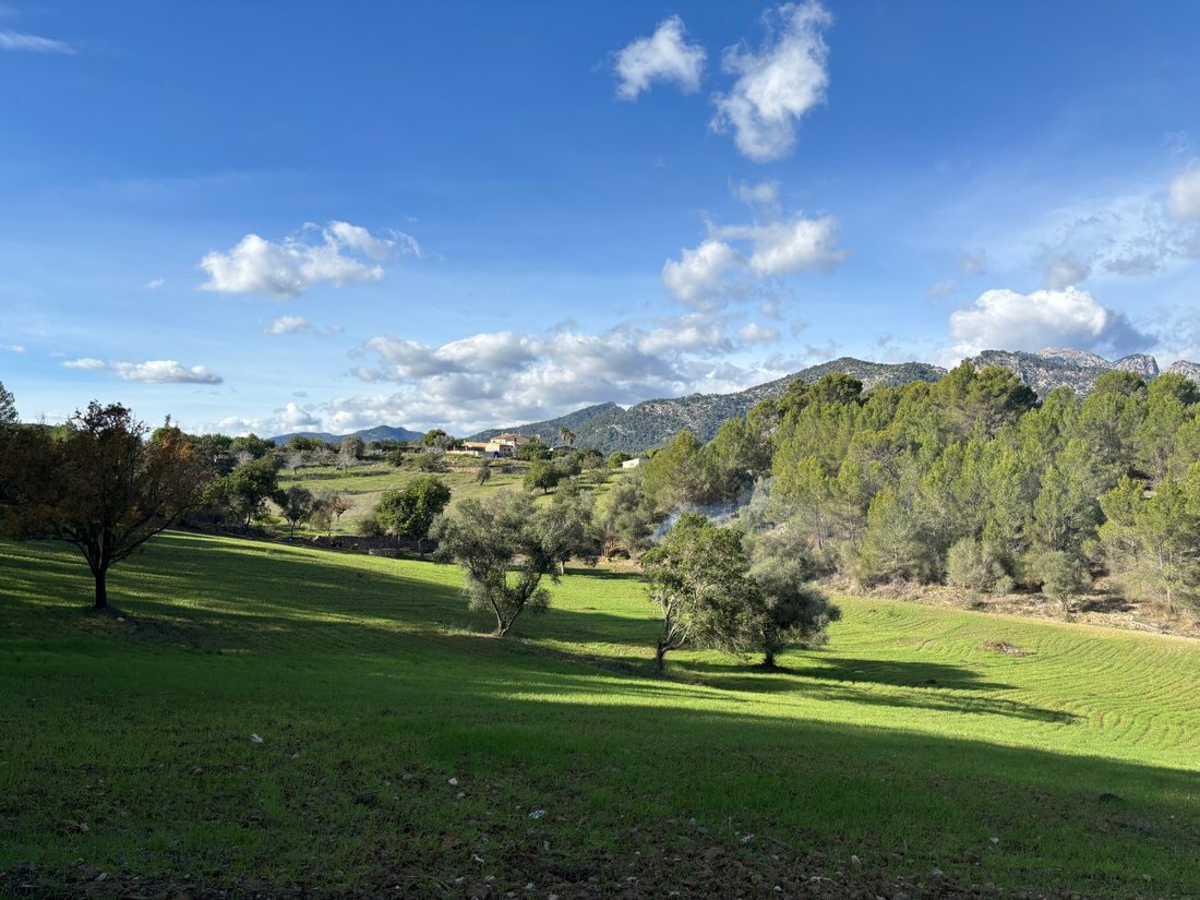 Land in Selva, Balearic Islands, Spain 5 - 17746815