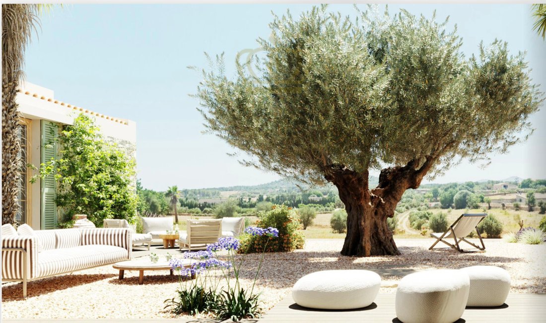 Finca in Manacor, Balearic Islands, Spain 2 - 17748877