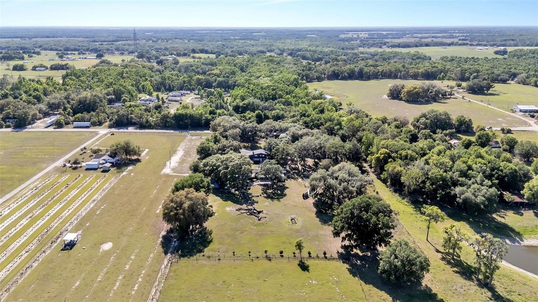 House in Dade City, Florida, United States 1 - 17407353