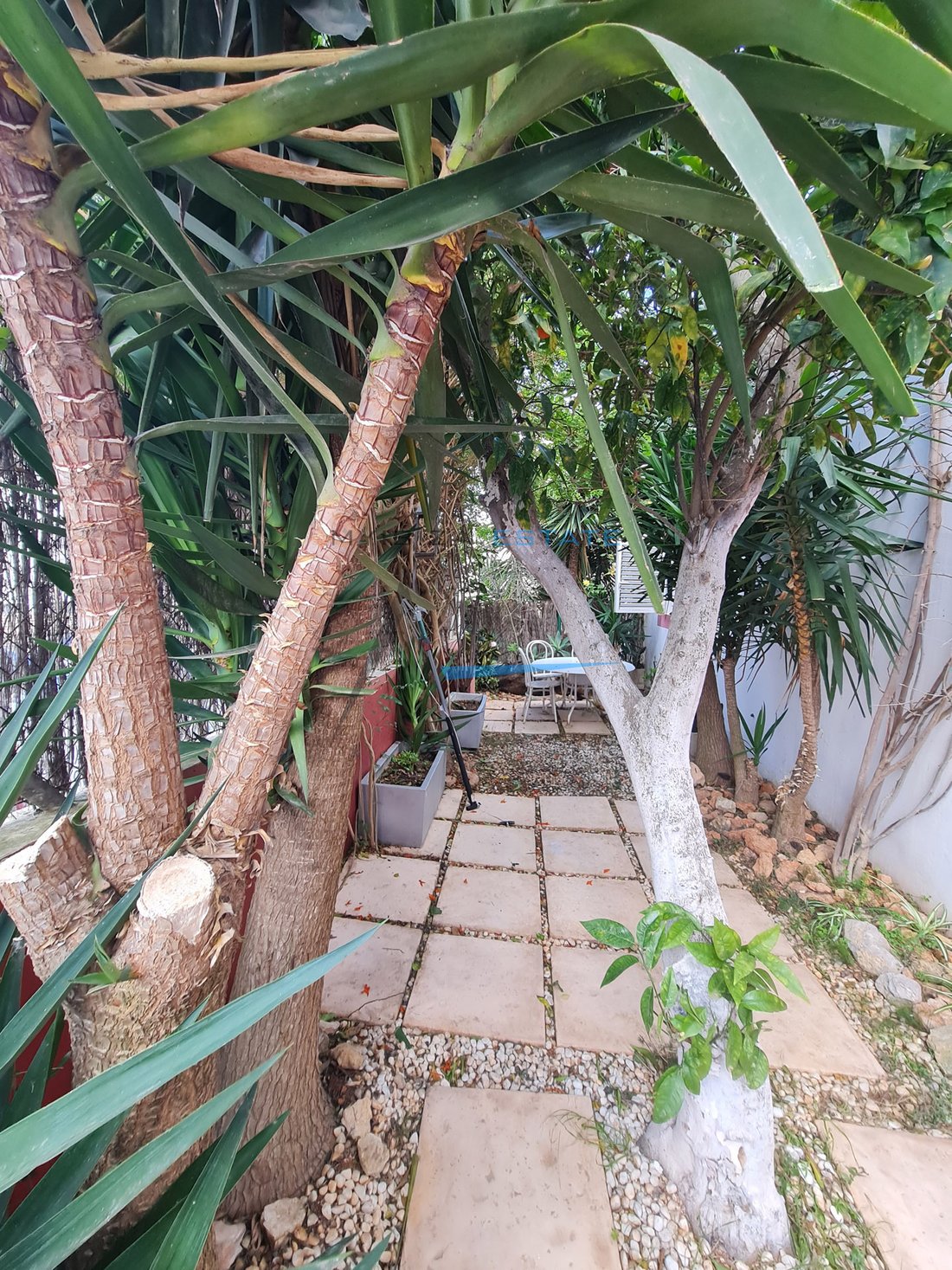 House in Santa Eularia des Riu, Balearic Islands, Spain 4 - 17747863