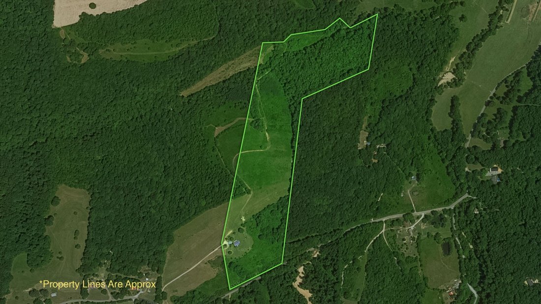 House in Charlotte, Tennessee, United States 4 - 17748589