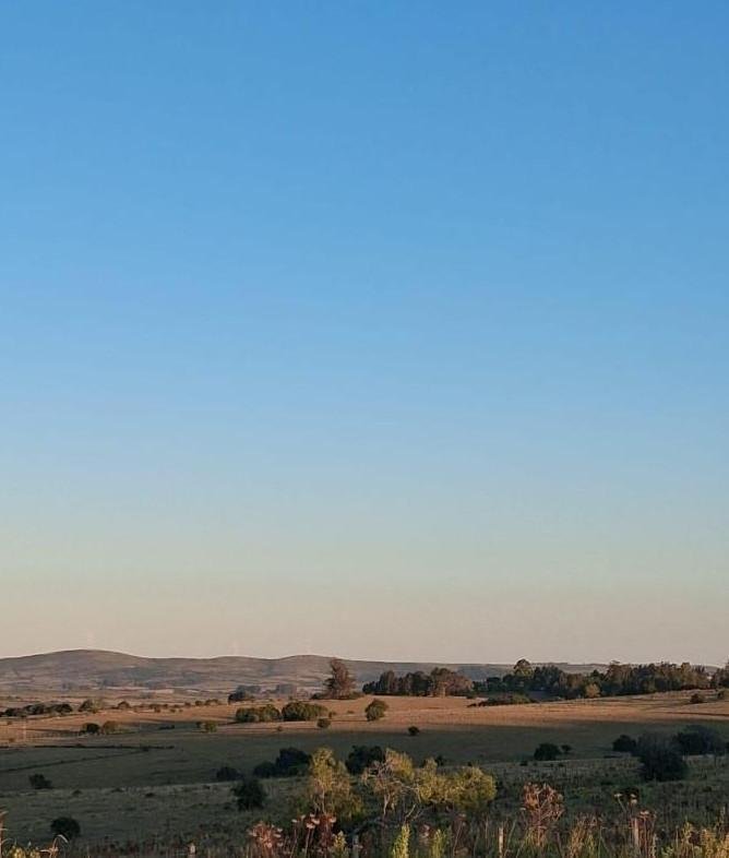 Farm Ranch in Florida, Florida Department, Uruguay 5 - 17750243