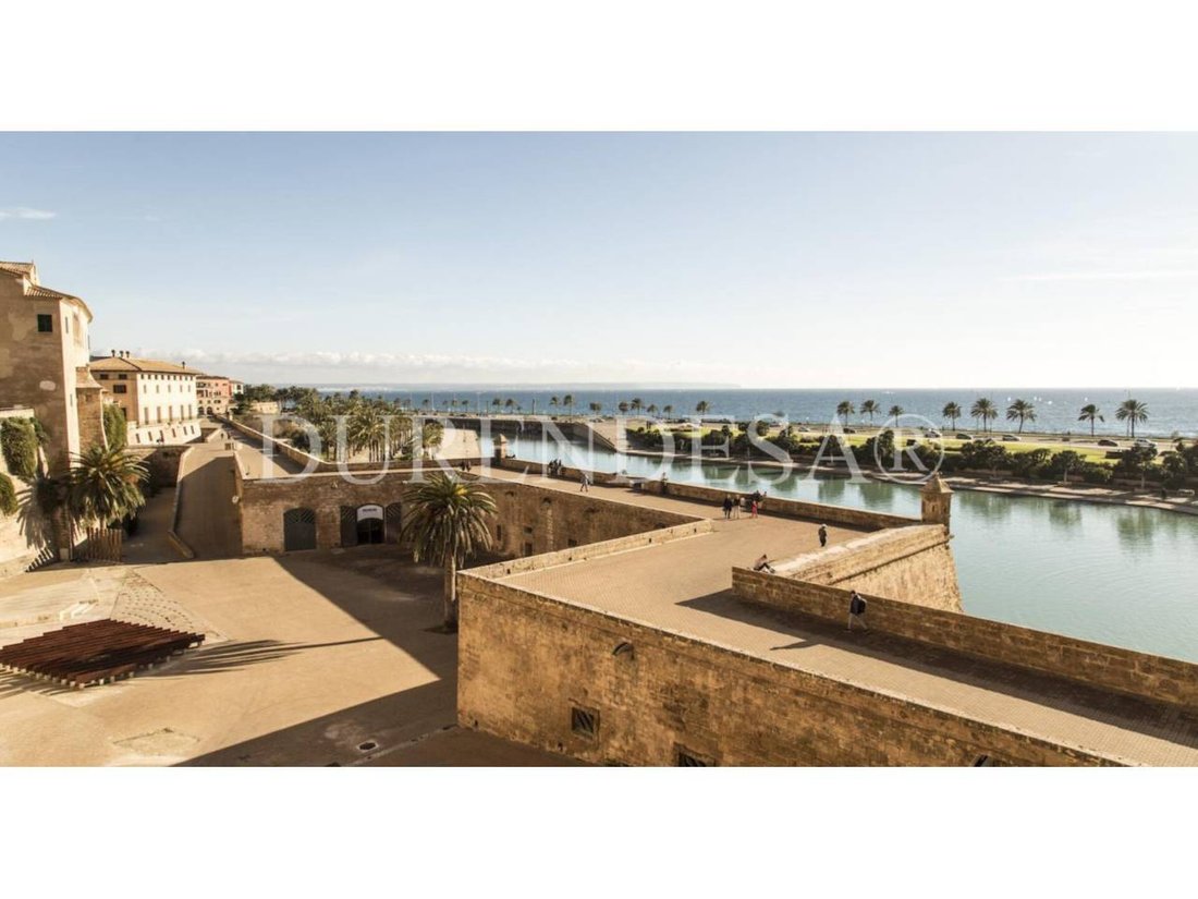 Apartment in Palma, Balearic Islands, Spain 1 - 17747195