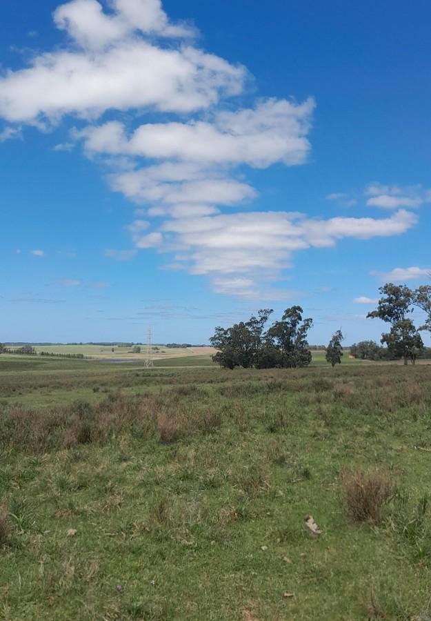 Farm Ranch in San Carlos, Maldonado Department, Uruguay 3 - 17750429