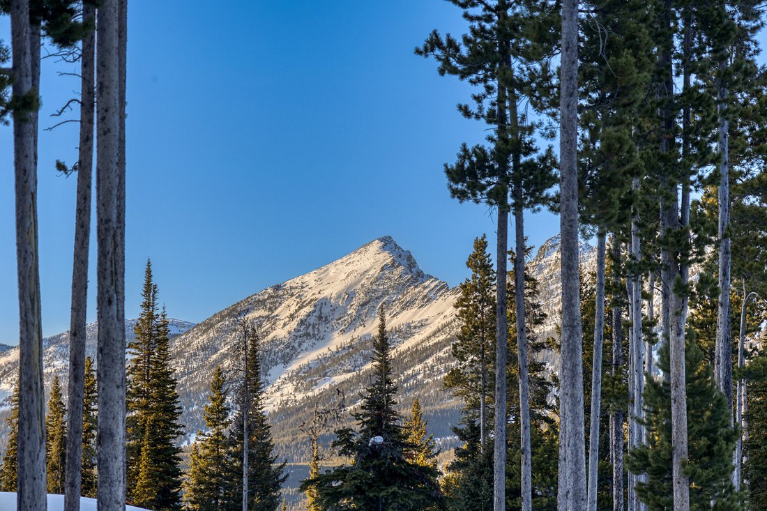 Land in Gallatin Gateway, Montana, United States 3 - 17742647