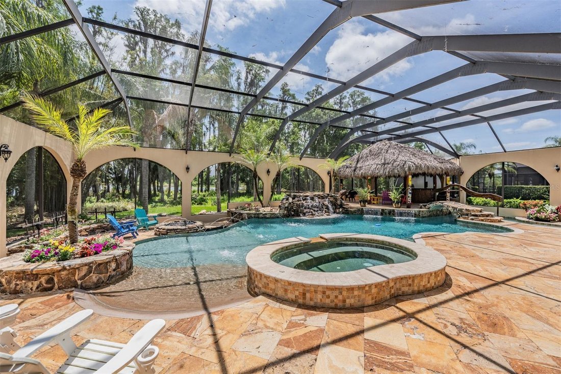 House in Land O' Lakes, Florida, United States 5 - 17745634