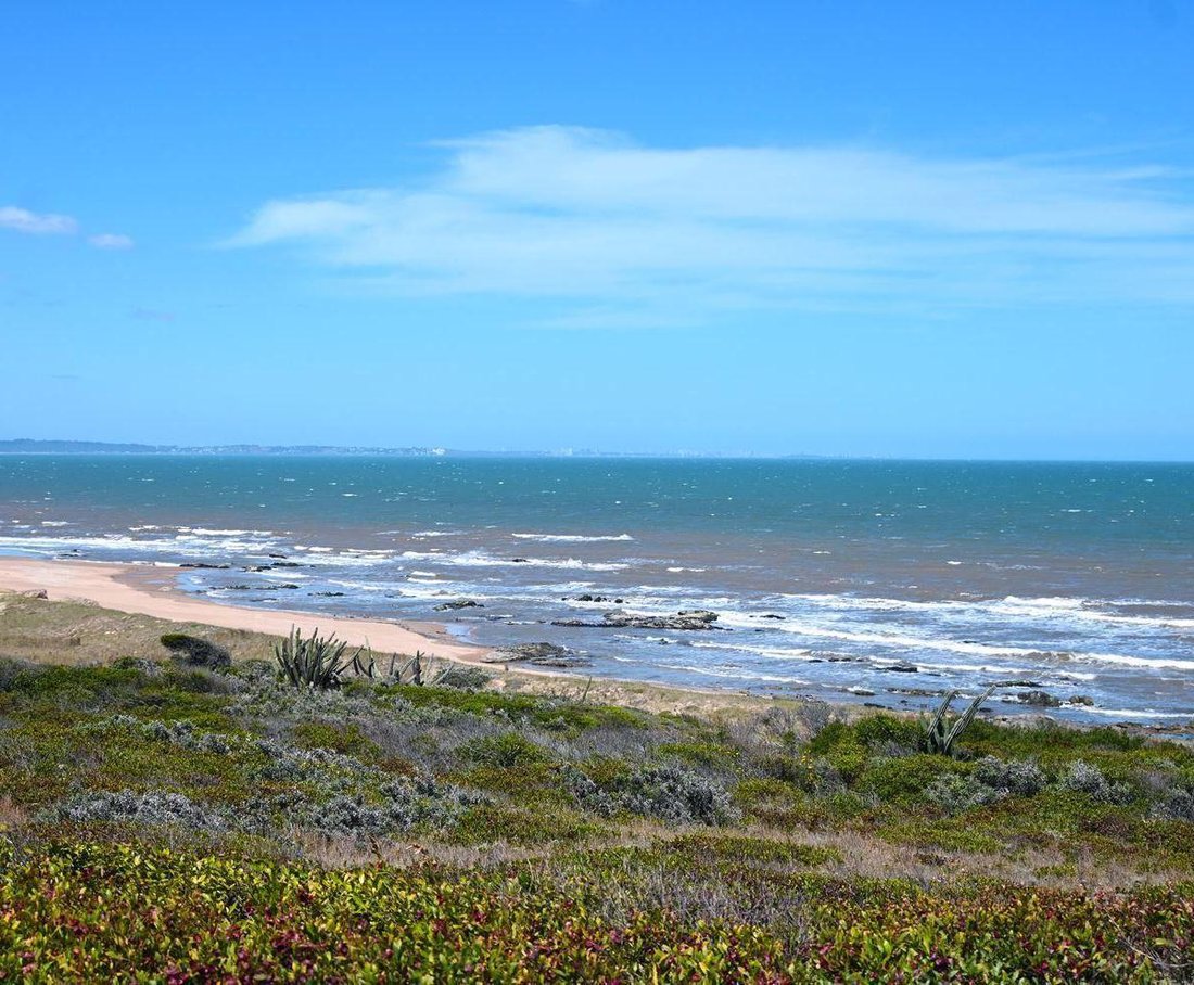 Farm Ranch in Punta del Este, Maldonado Department, Uruguay 4 - 17750195