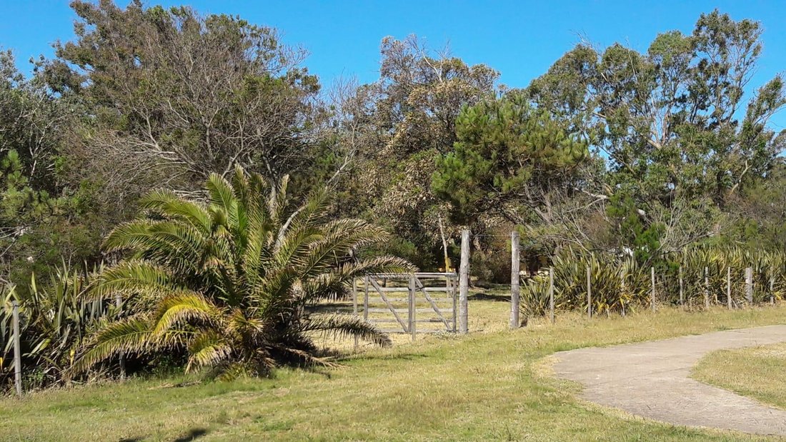 Farm Ranch in Las Flores, Maldonado Department, Uruguay 2 - 17750238