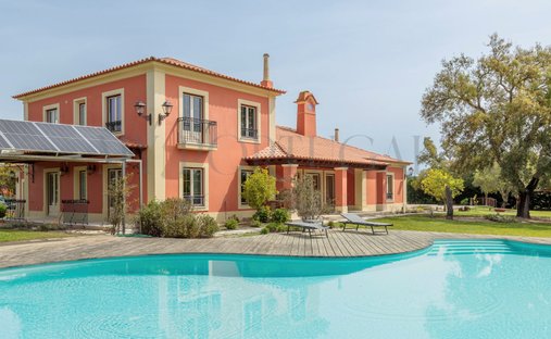 Haus in Santo Estêvão, Distrikt Santarém, Portugal 1