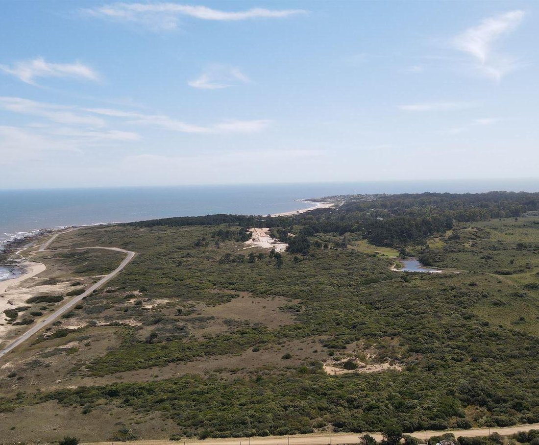 Farm Ranch in Punta del Este, Maldonado Department, Uruguay 3 - 17750195