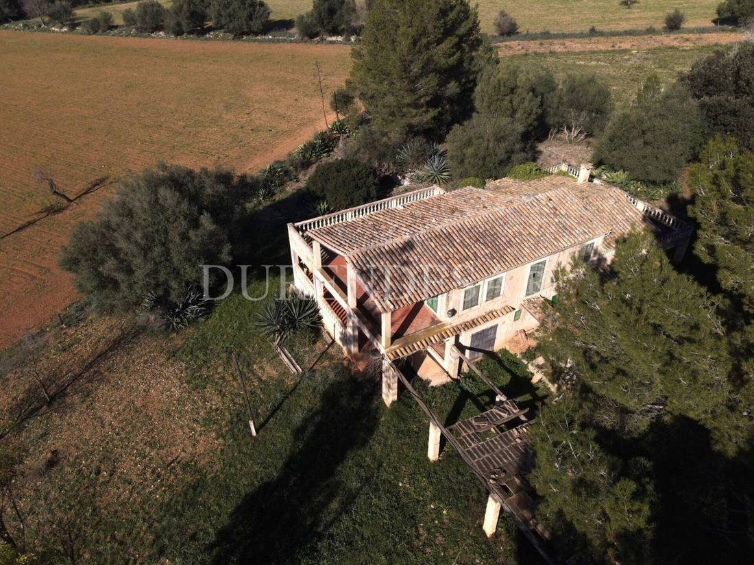 Finca in Alaro, Balearic Islands, Spain 3 - 17747074