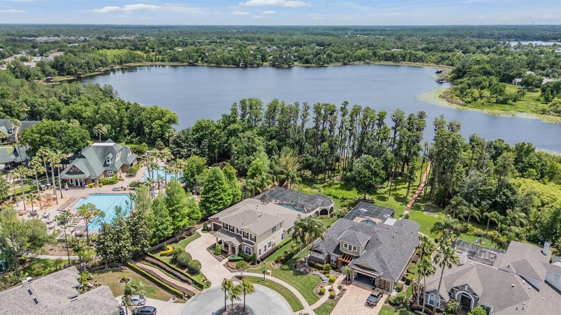 House in Land O' Lakes, Florida, United States 3 - 17745634